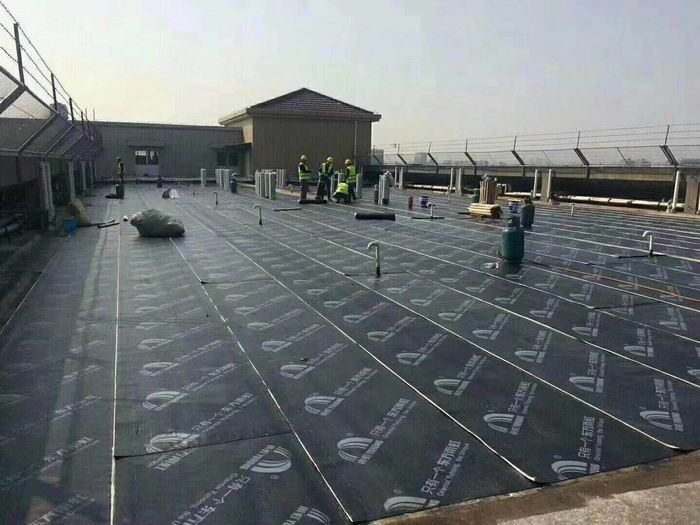 王庄镇楼顶防水